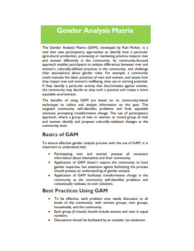 gender analysis matrix template