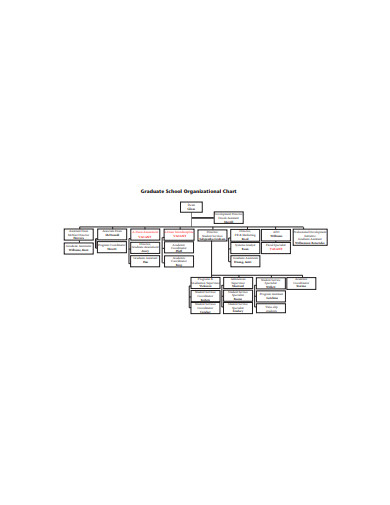 Graduate School Organizational Chart