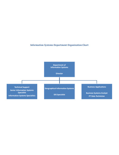 information system department organization chart