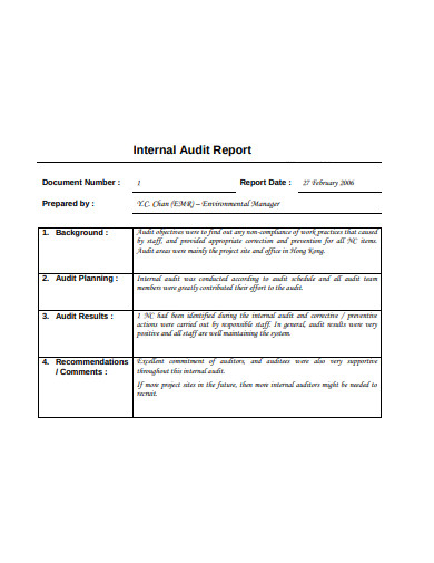 internal audit report example1