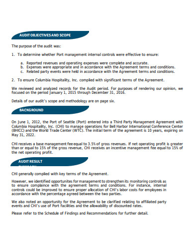 internal audit report in pdf