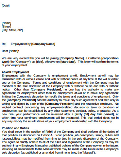 job offer letter format example