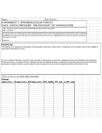 lab report template in xls