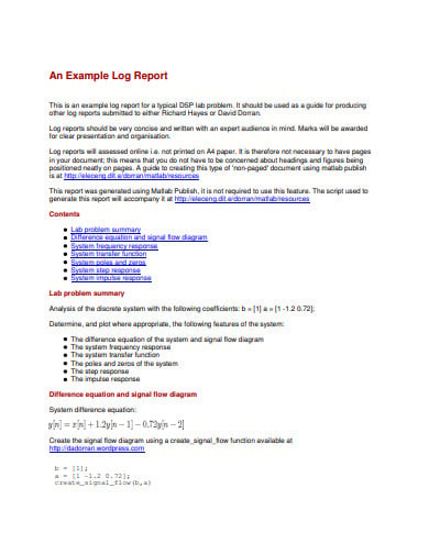 log report example