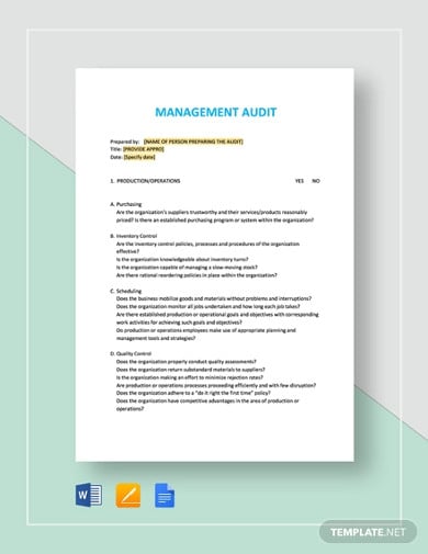 management-audit-checklist-template2