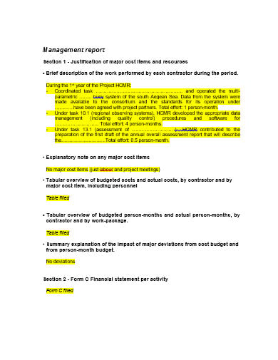 management-daily-report-template-in-doc