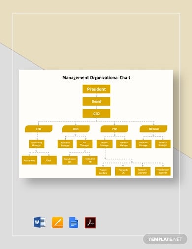 management organizational chart templates