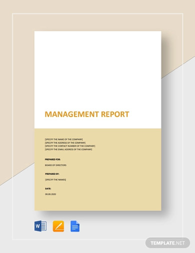management report to board of directors template1