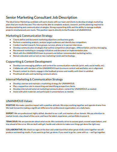 21 Consultant Job Description Templates In PDF