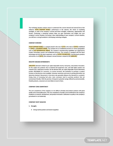 9+ Situation Analysis Templates - Google docs, Word, Pages, PDF