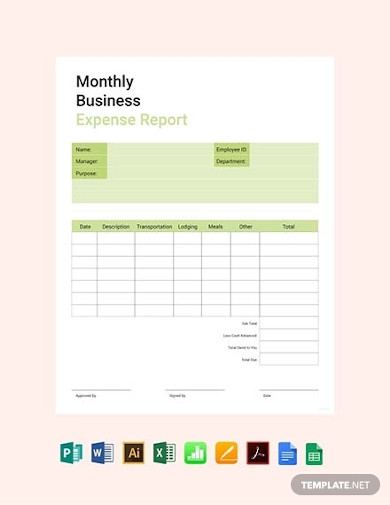 monthly business expense report