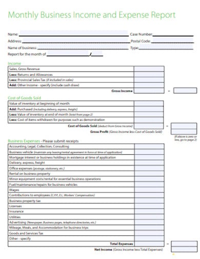 monthly business income and expense report