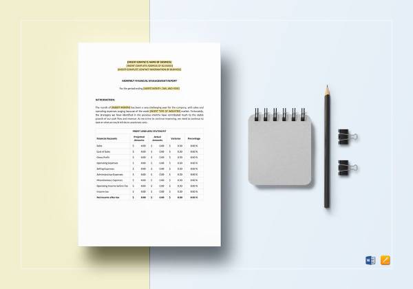 monthly-financial-management-report-template2