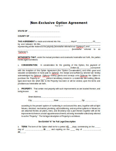 non-exclusive-option-agreement-in-doc