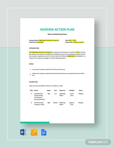 nursing-action-plan-template