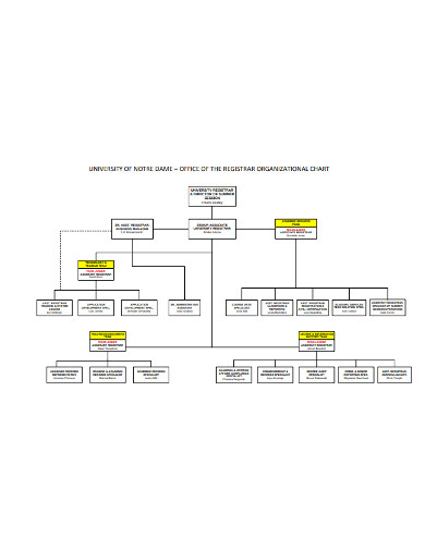 12+ Office Organizational Chart Templates in Google Docs | Word | Pages ...