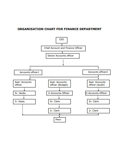 organisation chart for finance department