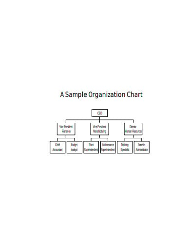 organization-chart-format
