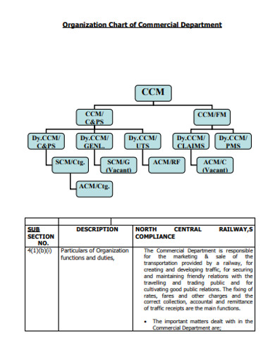 organization chart of commercial department