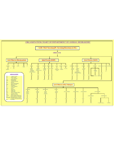 organization chart of department of animal husbandry