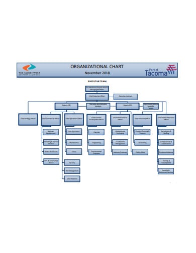 organizational chart in pdf1