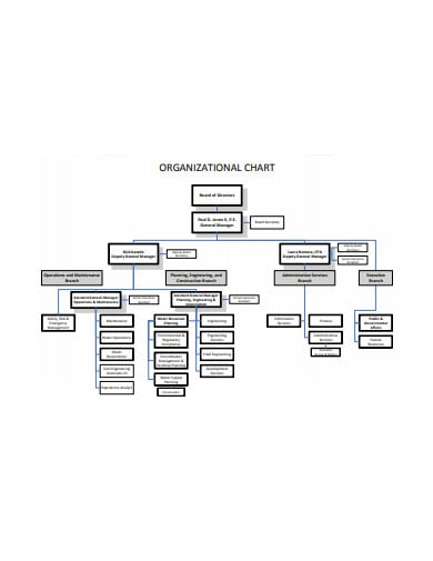 organizational standard chart