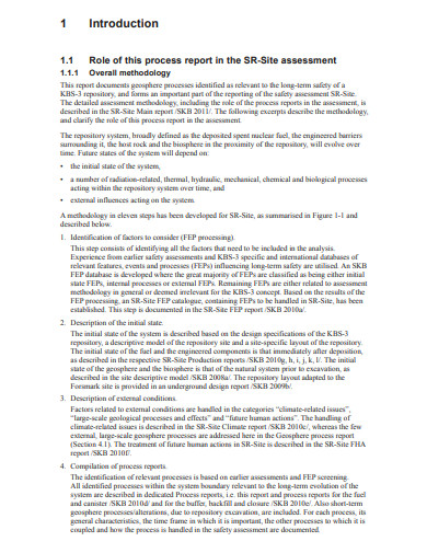 Basic Process Report 10+ Process Report Templates in Google Docs | Word | Pages | PDF | XLS