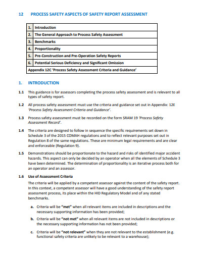 10+ Process Report Templates In Google Docs 