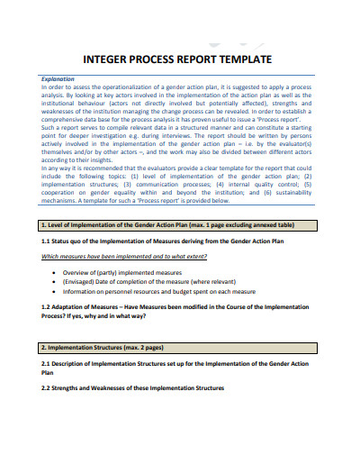 10+ Process Report Templates in Google Docs | Word | Pages | PDF | XLS