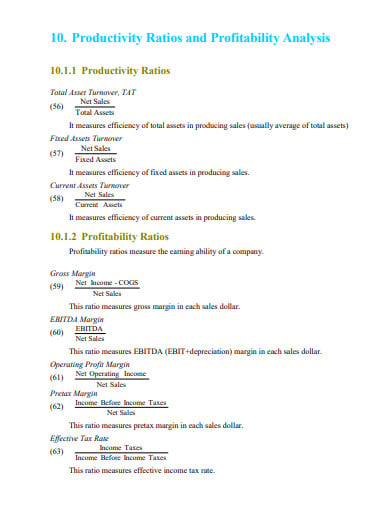 productivity ratios and profitability analysis