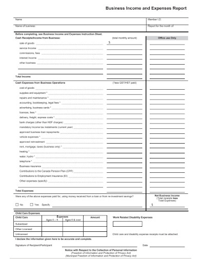 professional business income and expense report