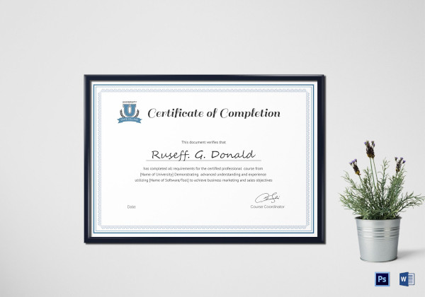 professional-course-completion-certificate-template