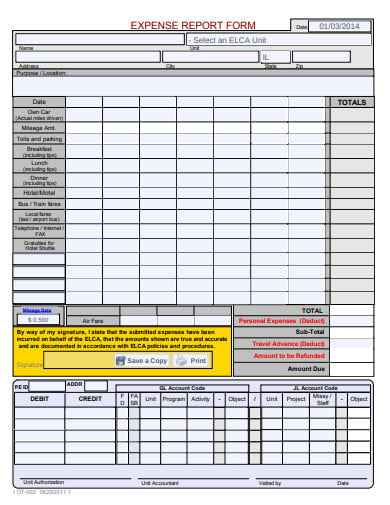 professional-expense-report-form
