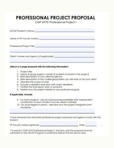 professional project proposal template