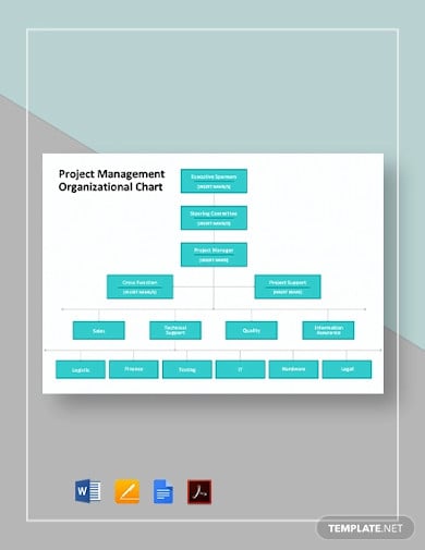 project management organizational chart templates