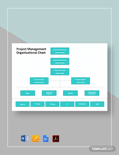 19+ Management Chart Templates - Google Docs, Word, Pages, PDF