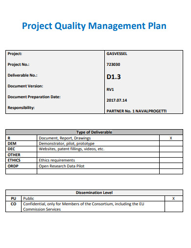 13 Quality Management Plan Templates In Google Docs Word Pages PDF