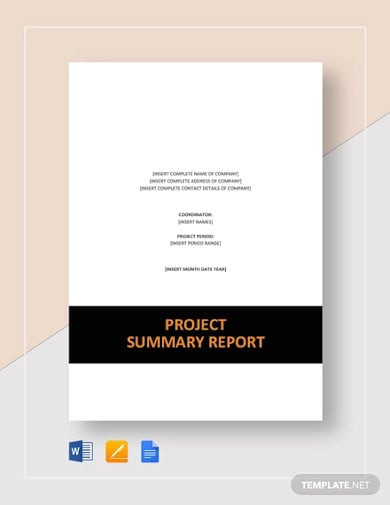 project-summary-report-template