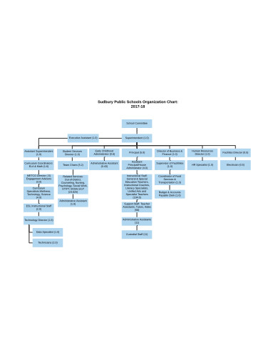 public school organtisational chart