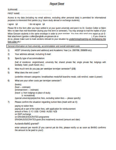 19+ Report Sheet Templates in Google Docs | Pages | PDF | DOC | XLS