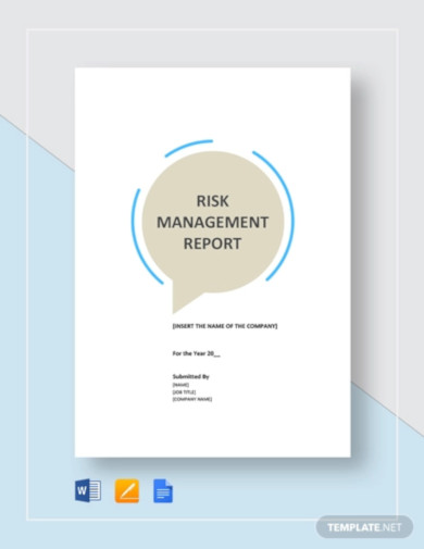risk management report template1