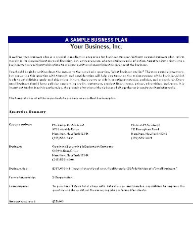 sample business plan template in xls