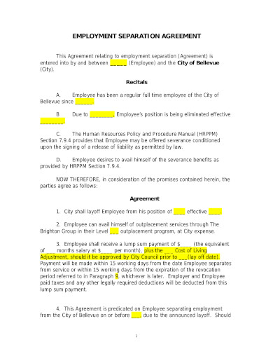 17+ Separation Agreement Templates - Google Docs, Word, Pages, PDF