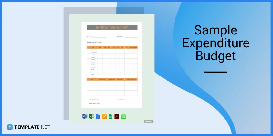sample expenditure budget template