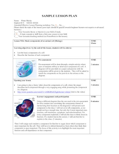 sample lesson plan in pdf