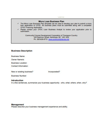 4 Loan Business Plan Templates In Google Docs Word Pages PDF