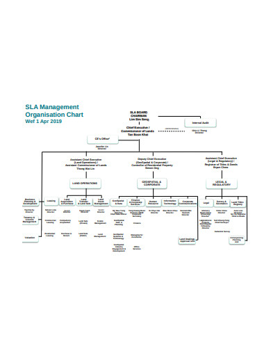 sample management organisation chart template