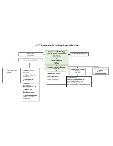sample technology organization chart example