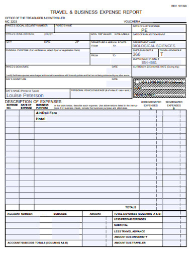 sample travel and business expenses report