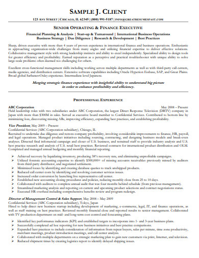 senior-finance-executive-resume-in-pdf